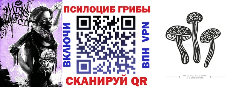 ссылка на мегу зеркало  дарк нет как зайти  Галлюциногенные грибы Psilocybine cubensis  Ессентукская 